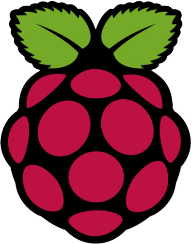 Raspberry Logo